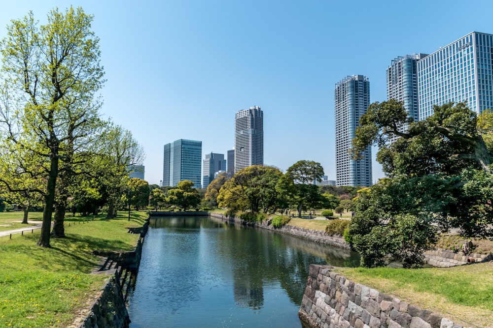 body of water near green trees and high rise buildings during daytime