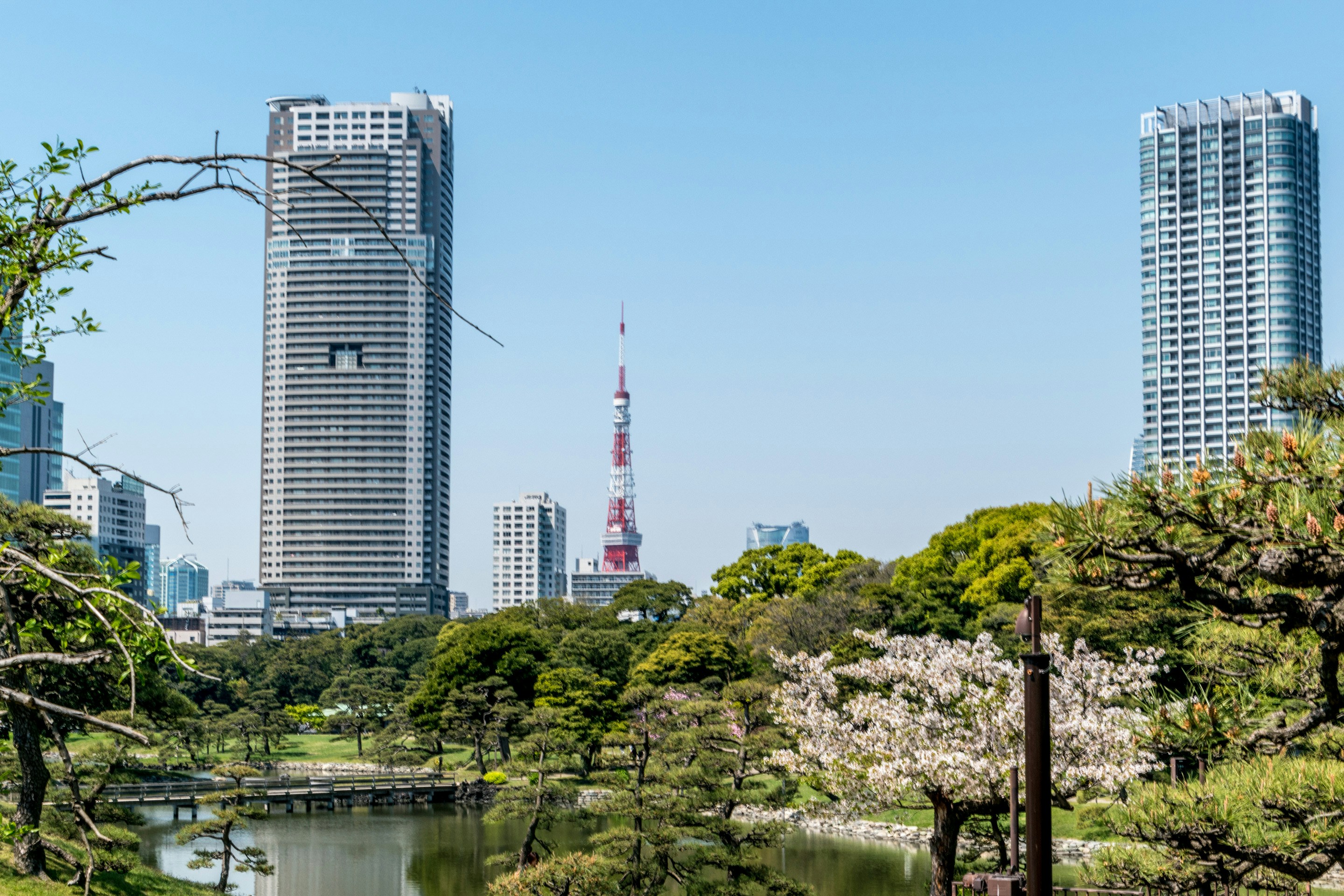 city skyline near body of water during daytime