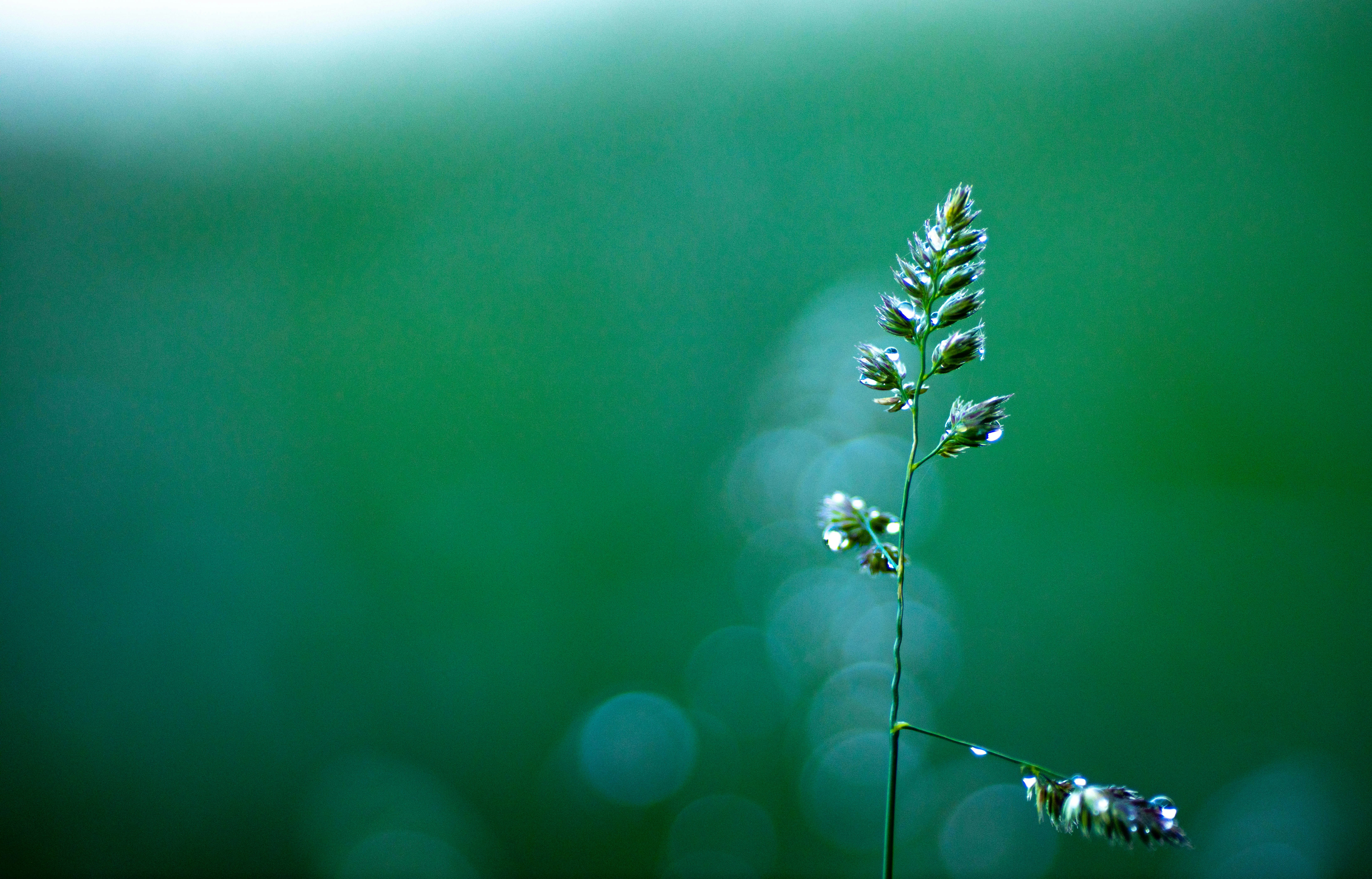 Photo by _king_louie_