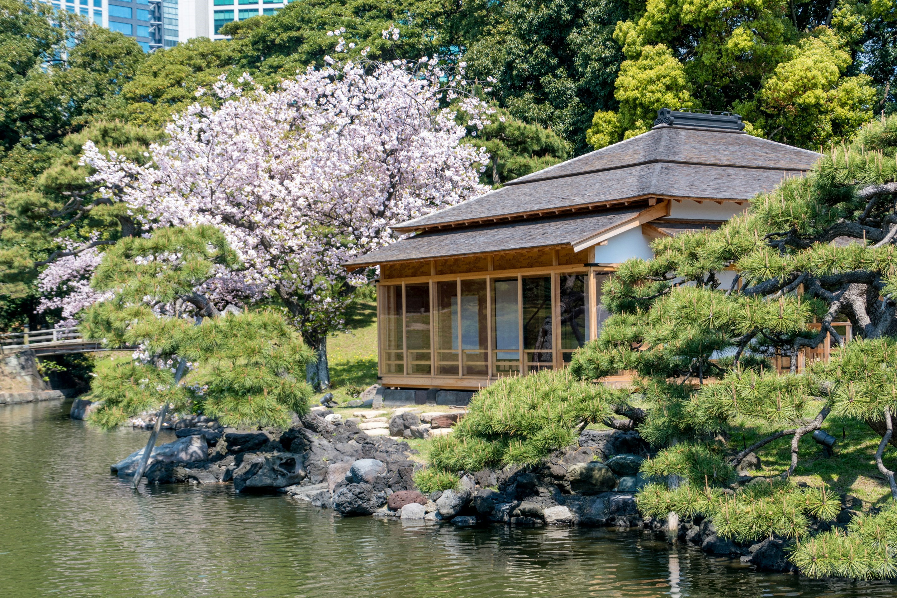 Brown wooden house near body of water during daytime photo – Free ...