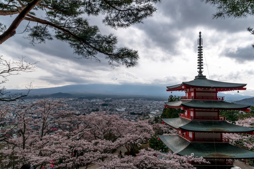 昼間の木々や水域の近くの赤と白の寺院