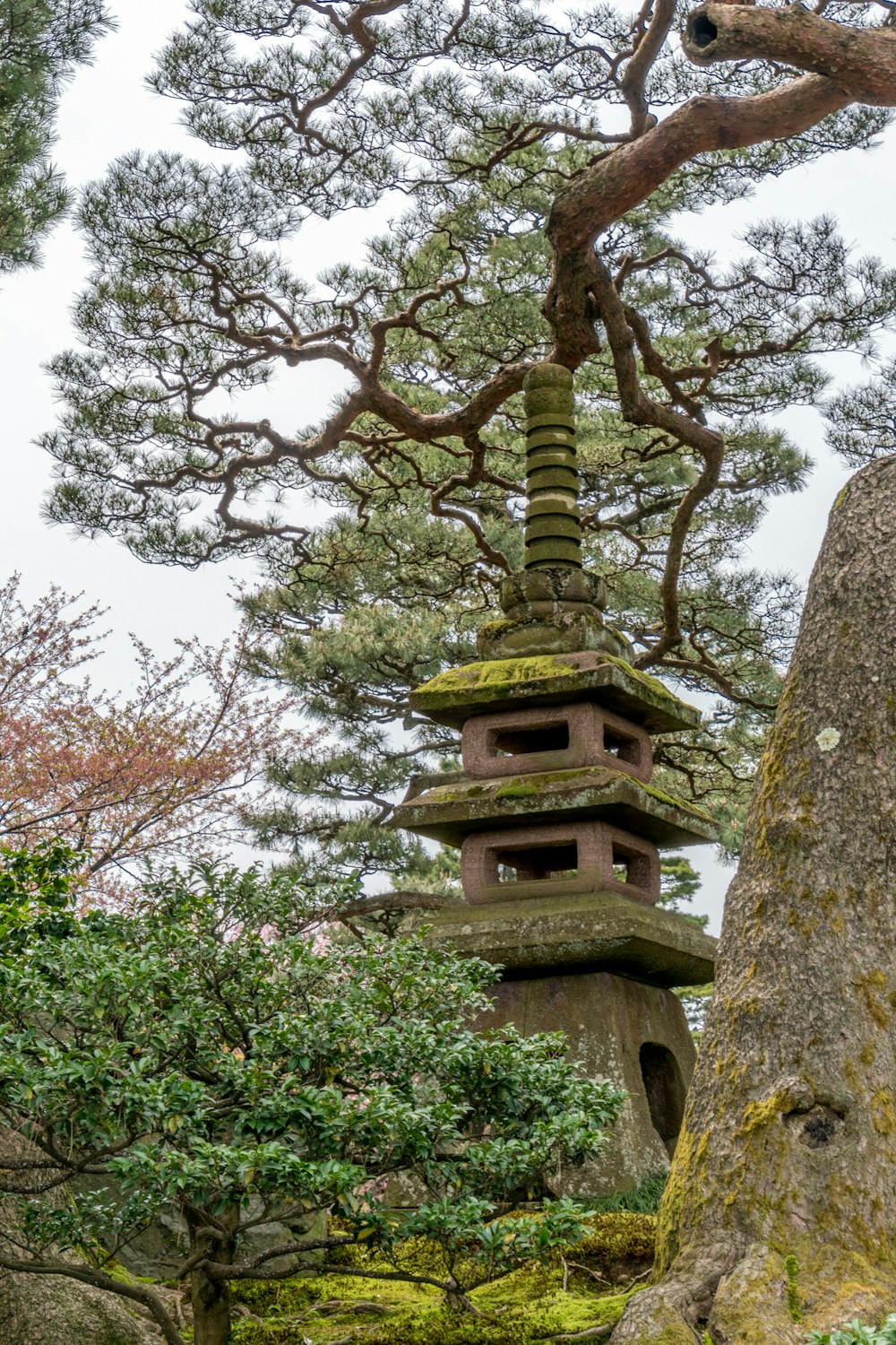 árbol verde y marrón durante el día