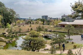 people walking on green grass field near body of water during daytime