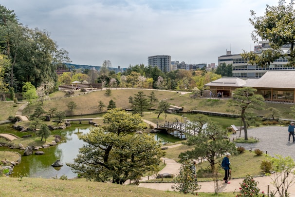 people walking on green grass field near body of water during daytime