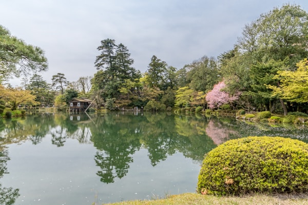 Exploring Kanazawa's Traditional Cuisine and Dining Scene