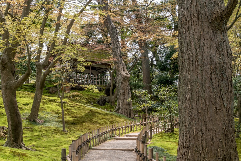 brown wooden bridge over green grass field