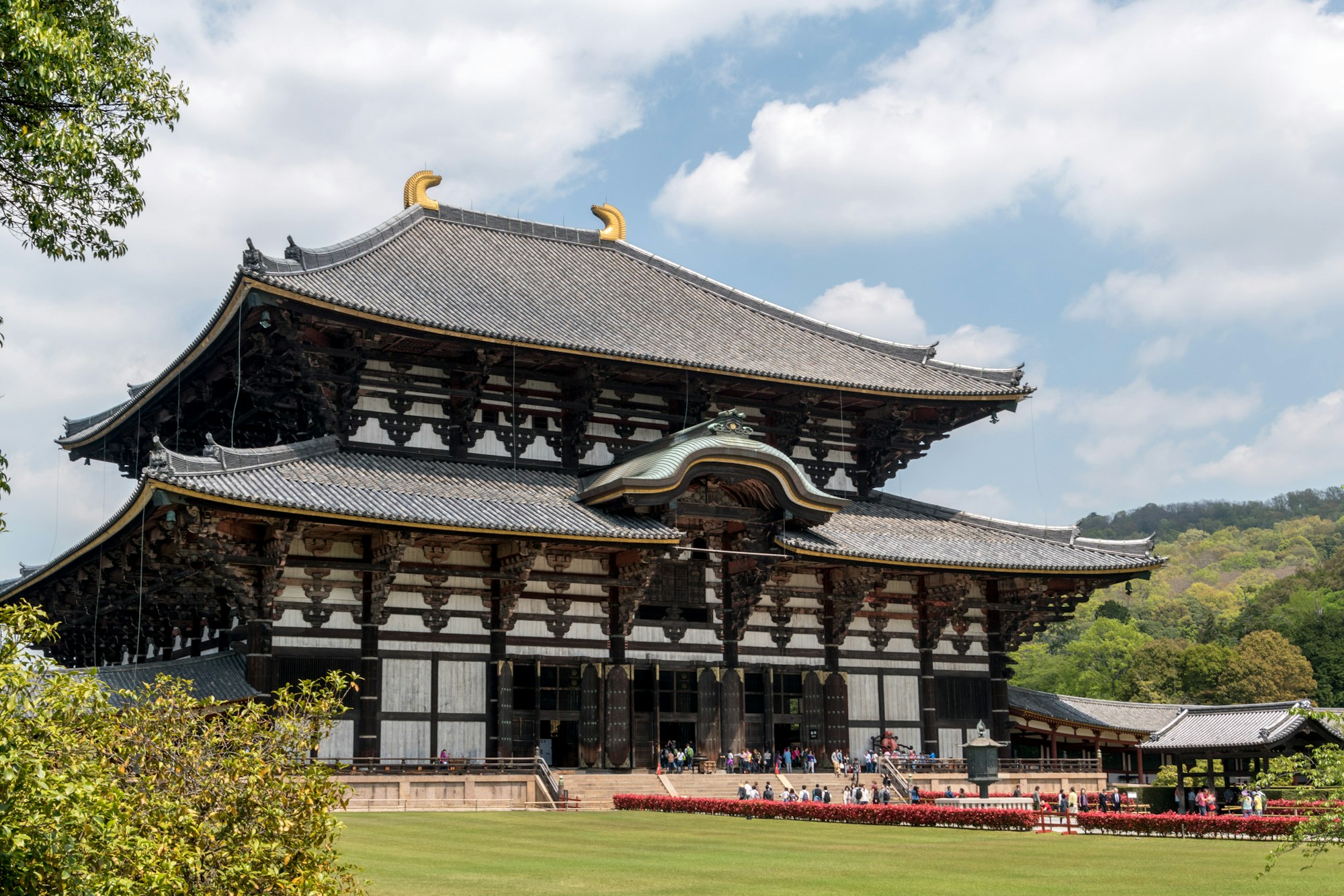 Nara Weather & Season Guide: Best Time to Visit