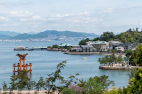 Best Luxury Hotels and Resorts in Miyajima for a Truly Elevated Stay