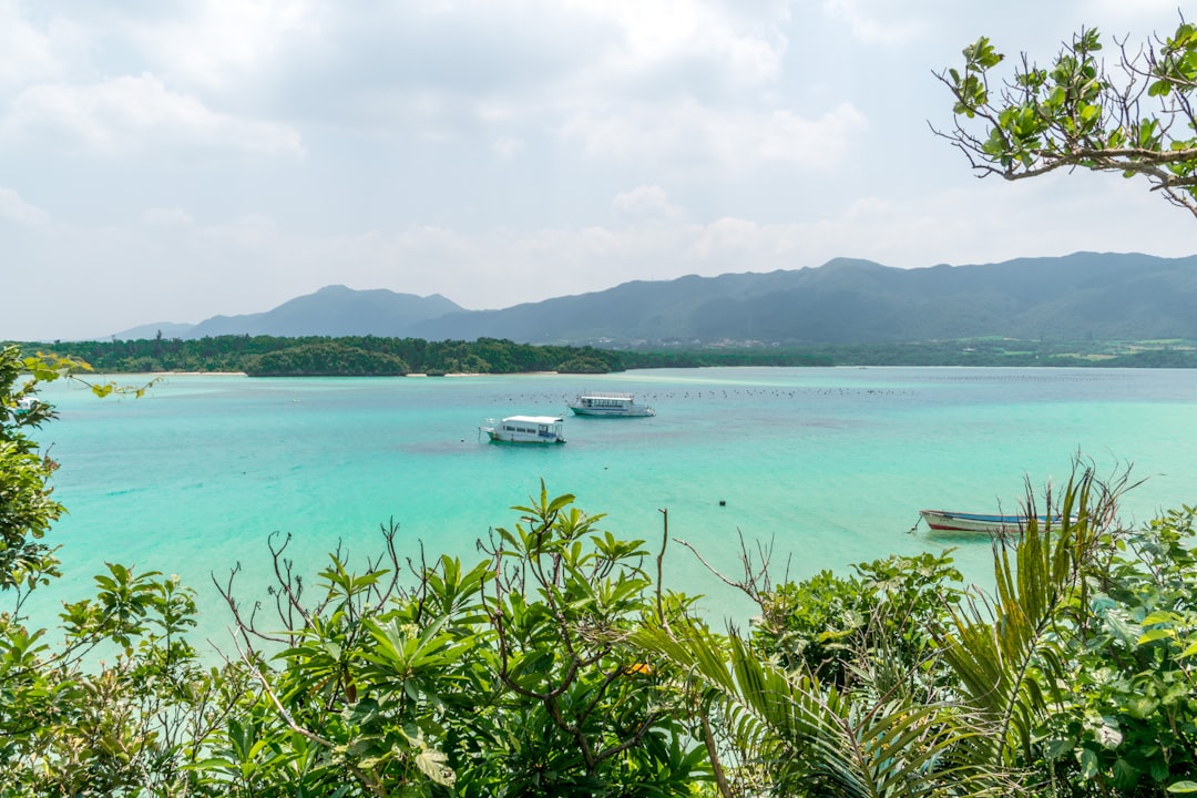 Nature reserve photo spot Ishigaki Island Japan