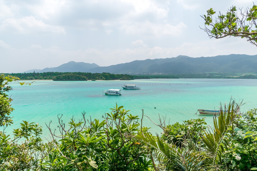 昼間の海上に浮かぶ白い船