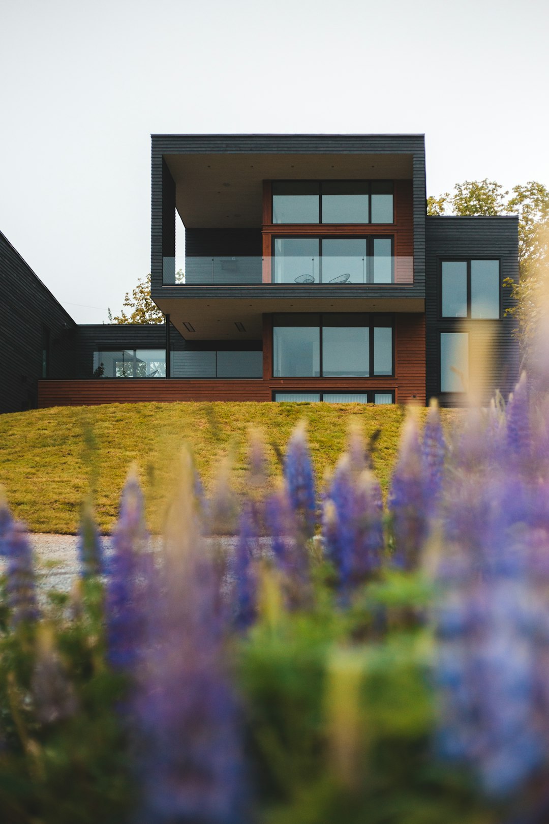 brown and black concrete house