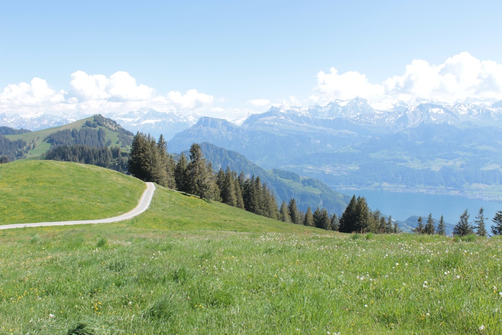 green grass field near green trees and mountains during daytime