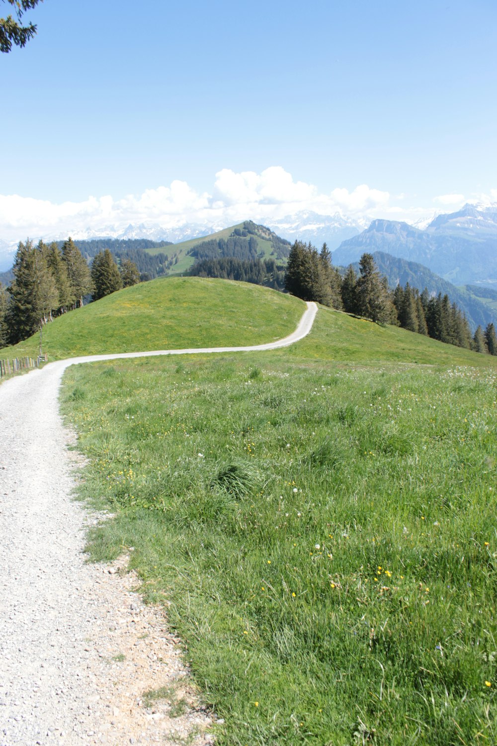 green grass field near mountain during daytime