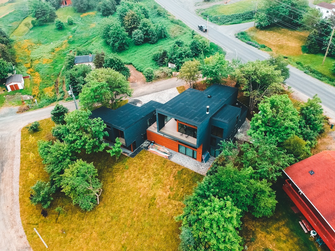 brown and black house surrounded by green trees during daytime