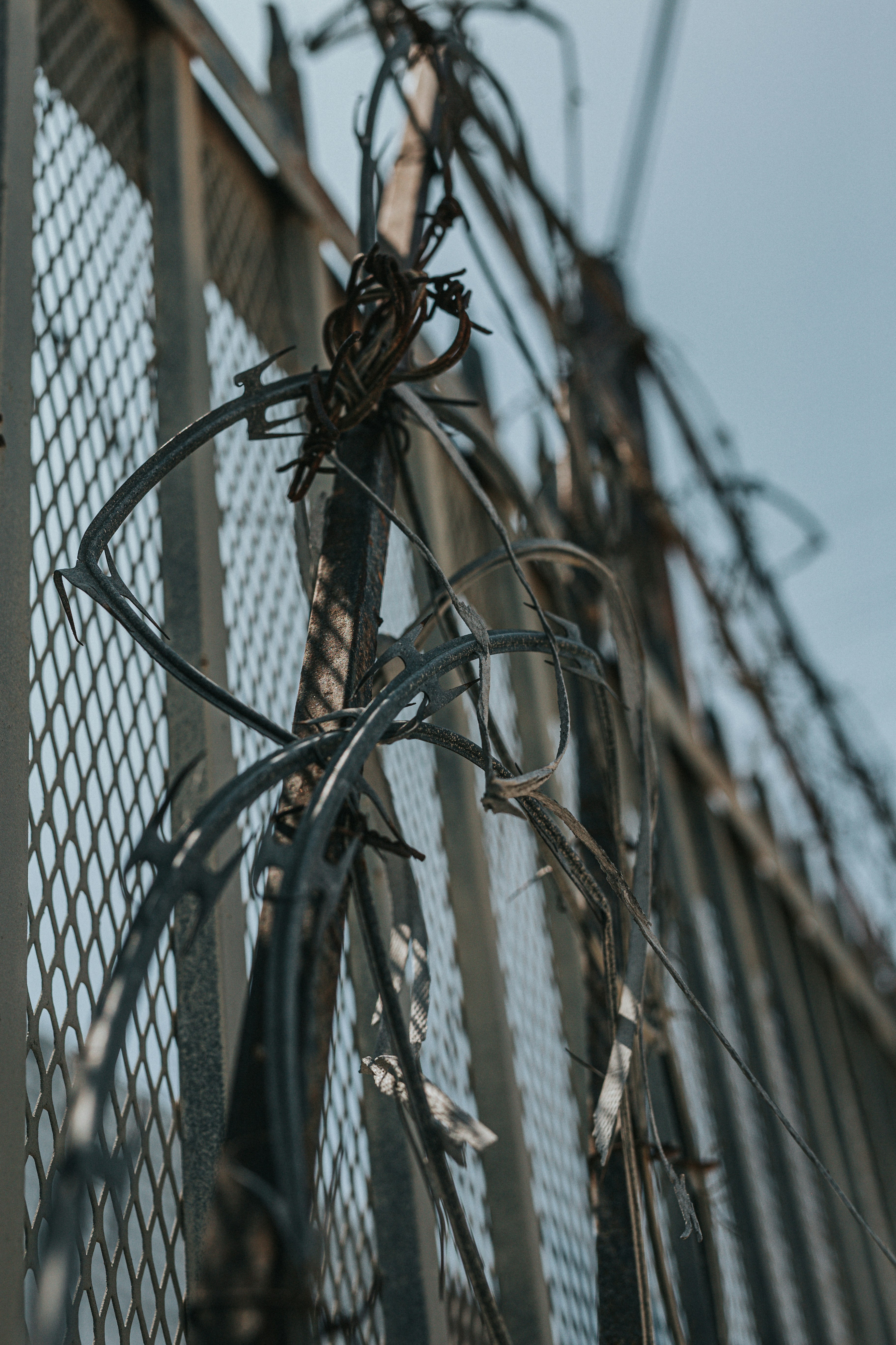 Photo by donovan_valdivia