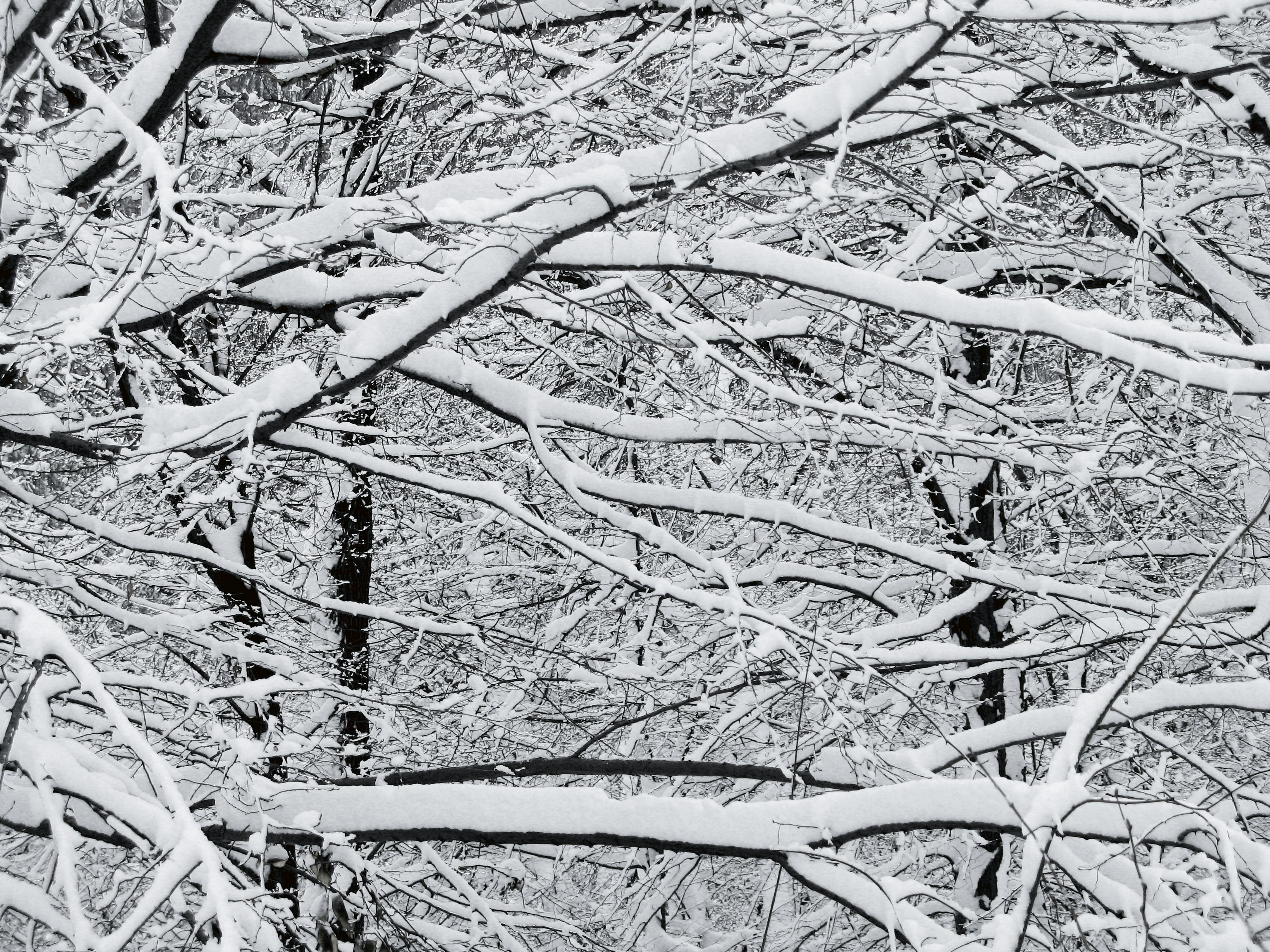 5 dicas para melhorar as interações com os stakeholders