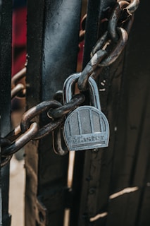 silver padlock on black steel gate