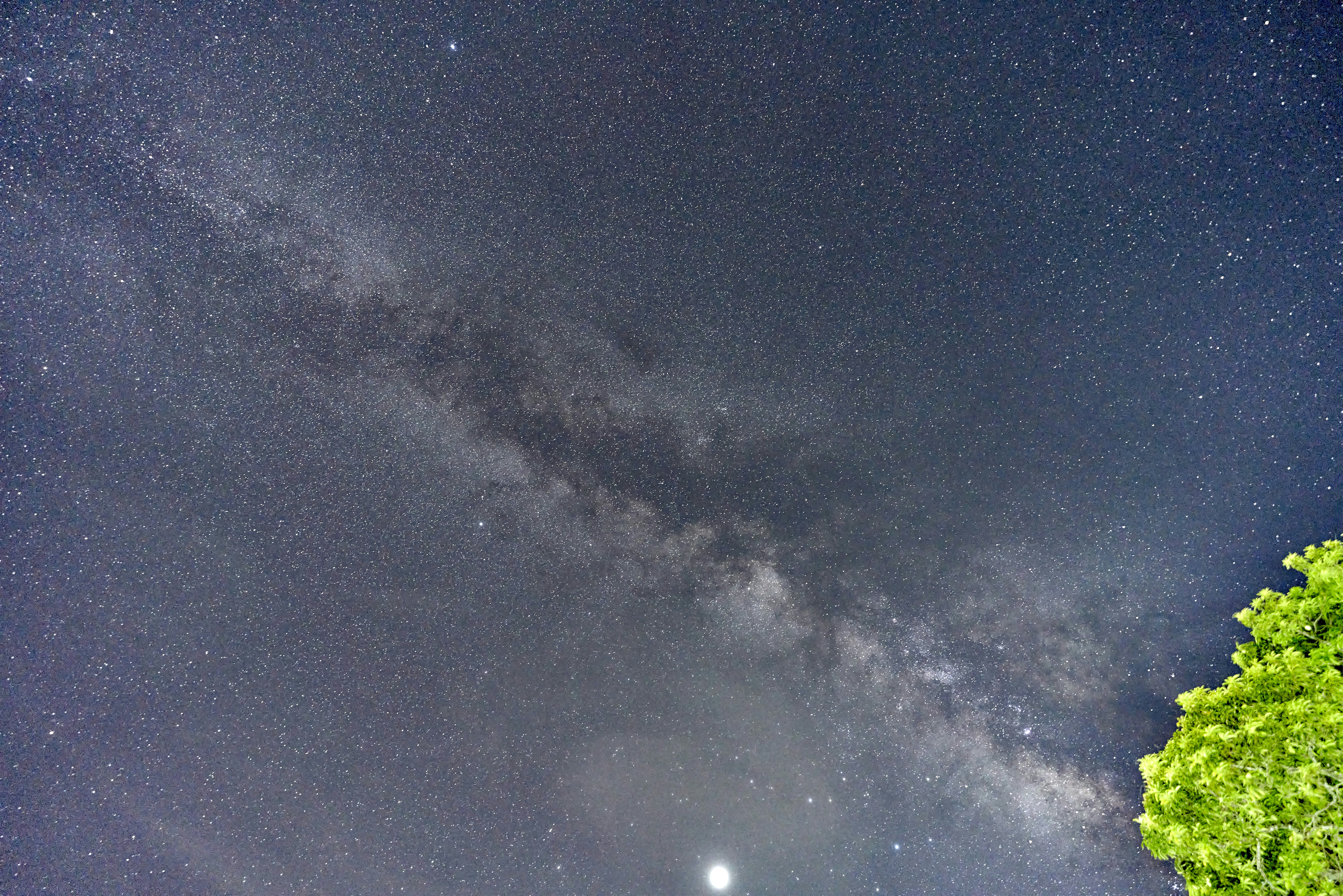 Featured image of post twenty