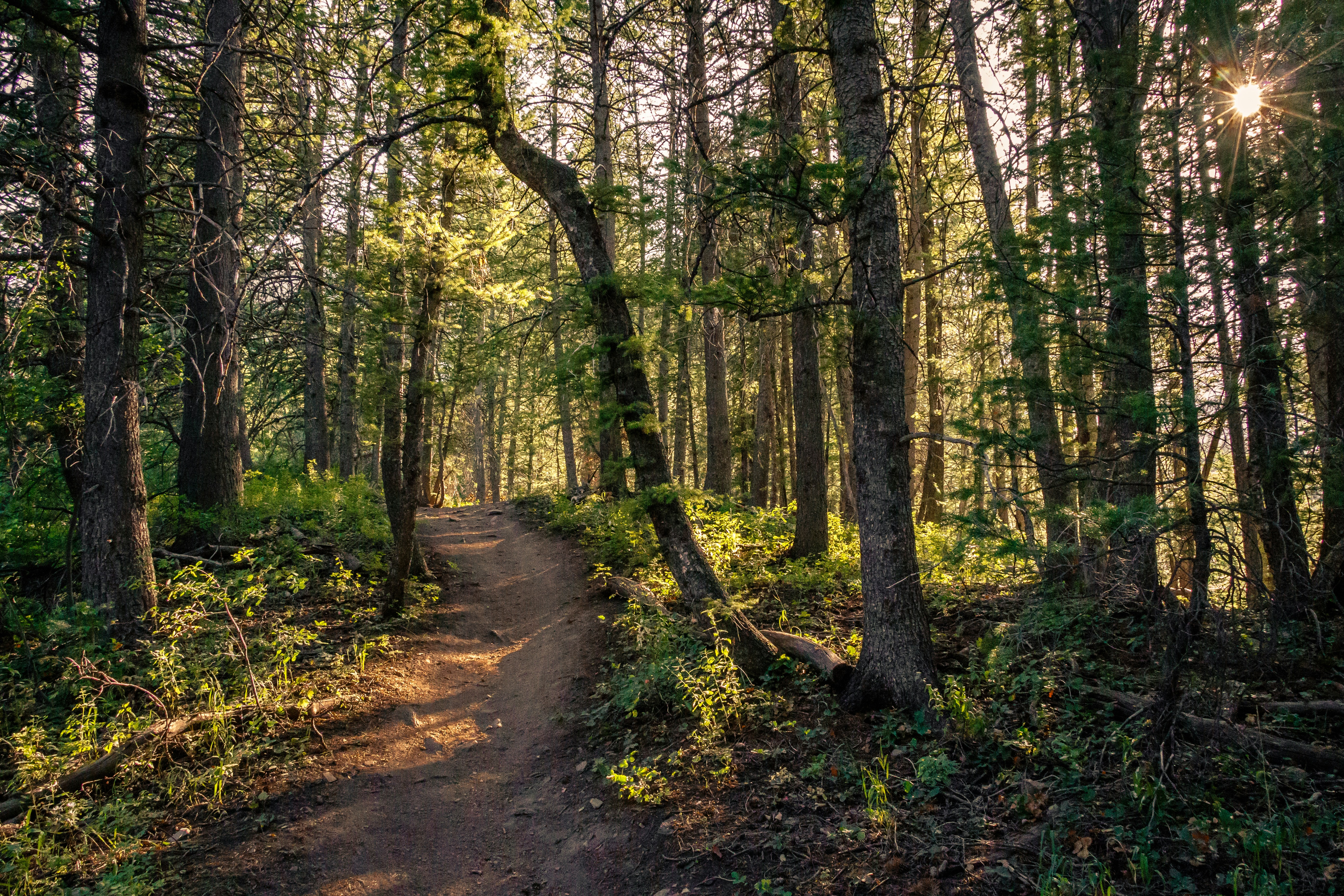 Photo by kadinhatchphotography