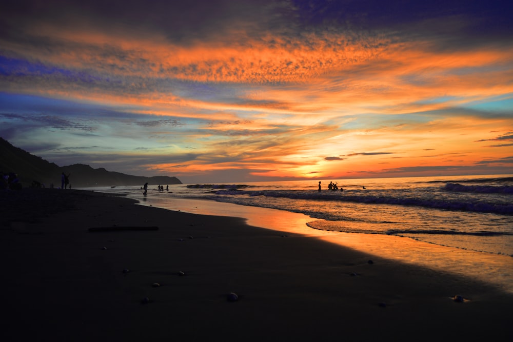 people on beach during sunset