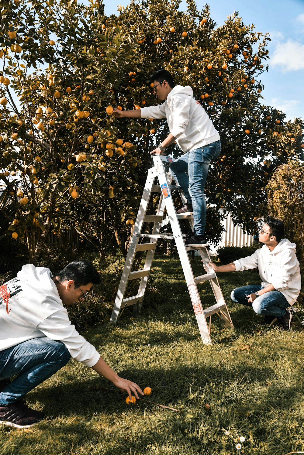 man in white shirt and blue denim jeans sitting on brown wooden ladder