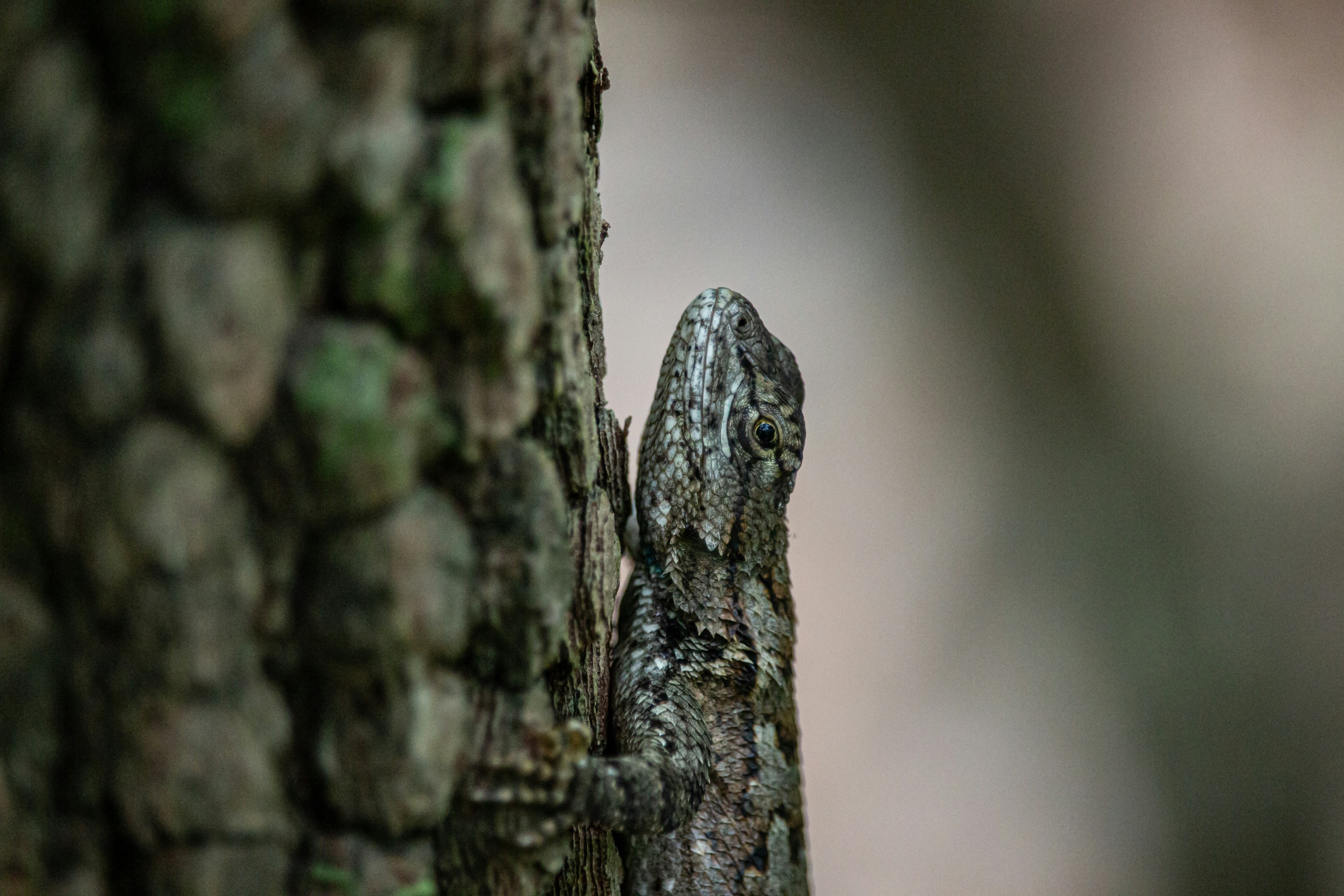 Photo by rendermouse