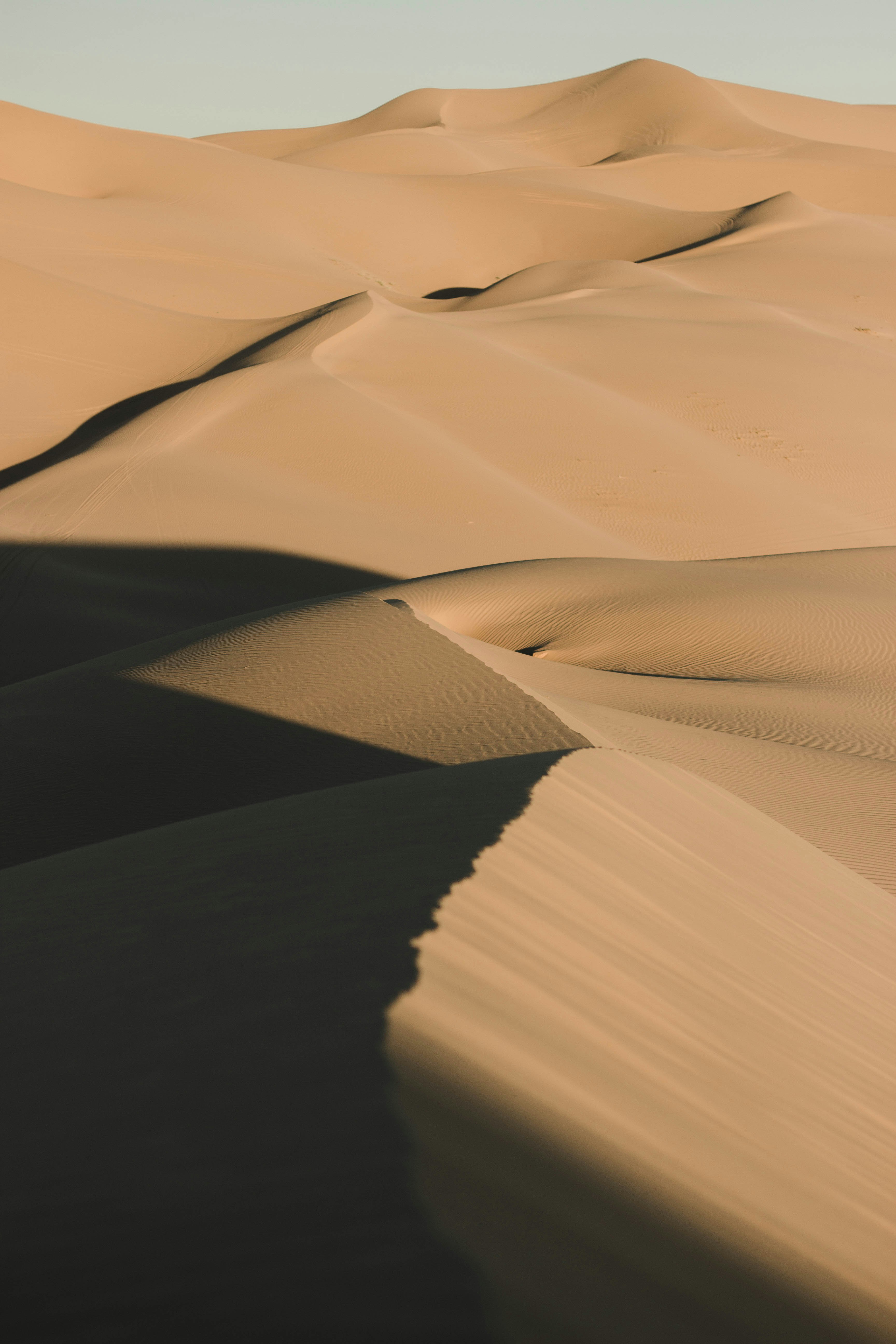 brown sand dunes during daytime