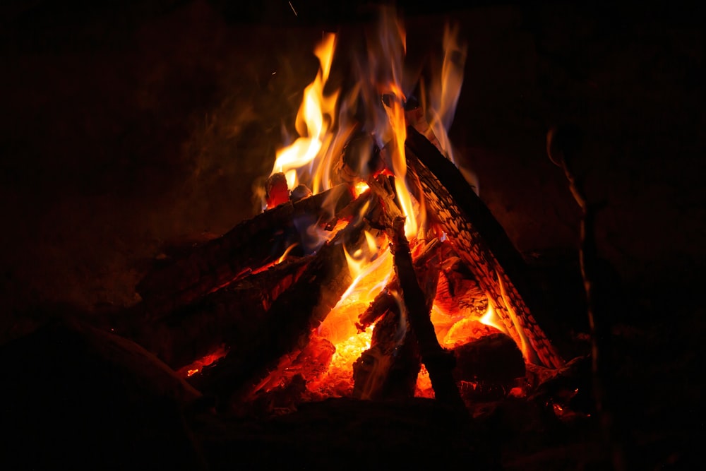 burning wood during night time