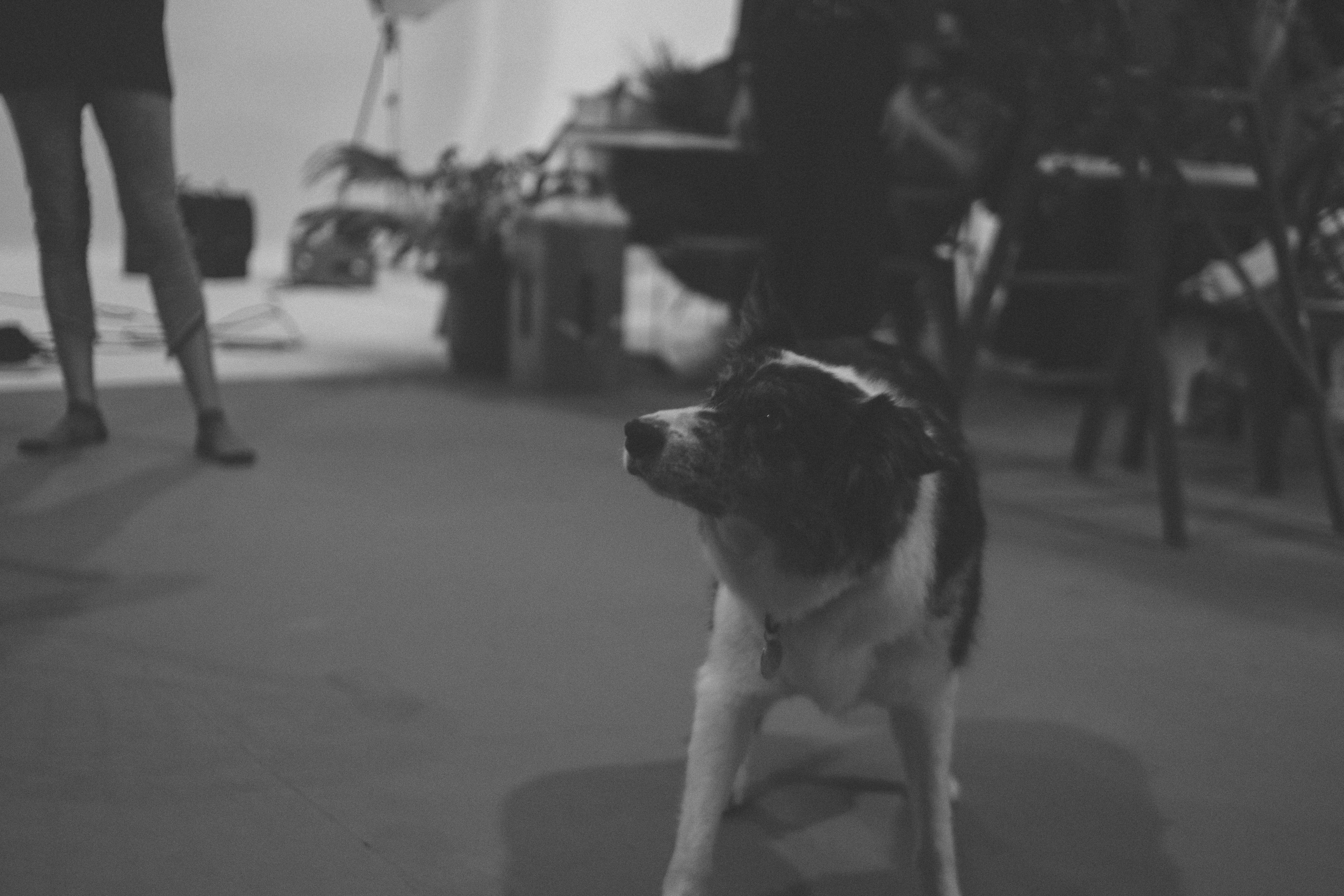 착한여자 부세미 재방송 다시보기 관련 이미지1