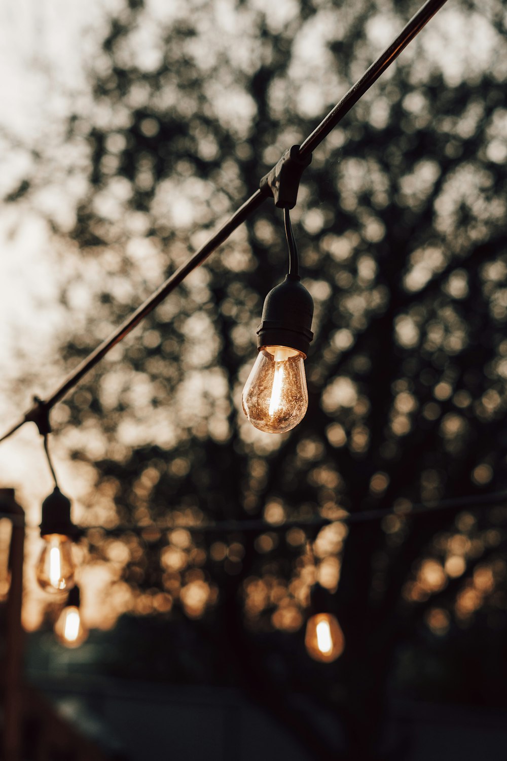 light bulb turned on during night time