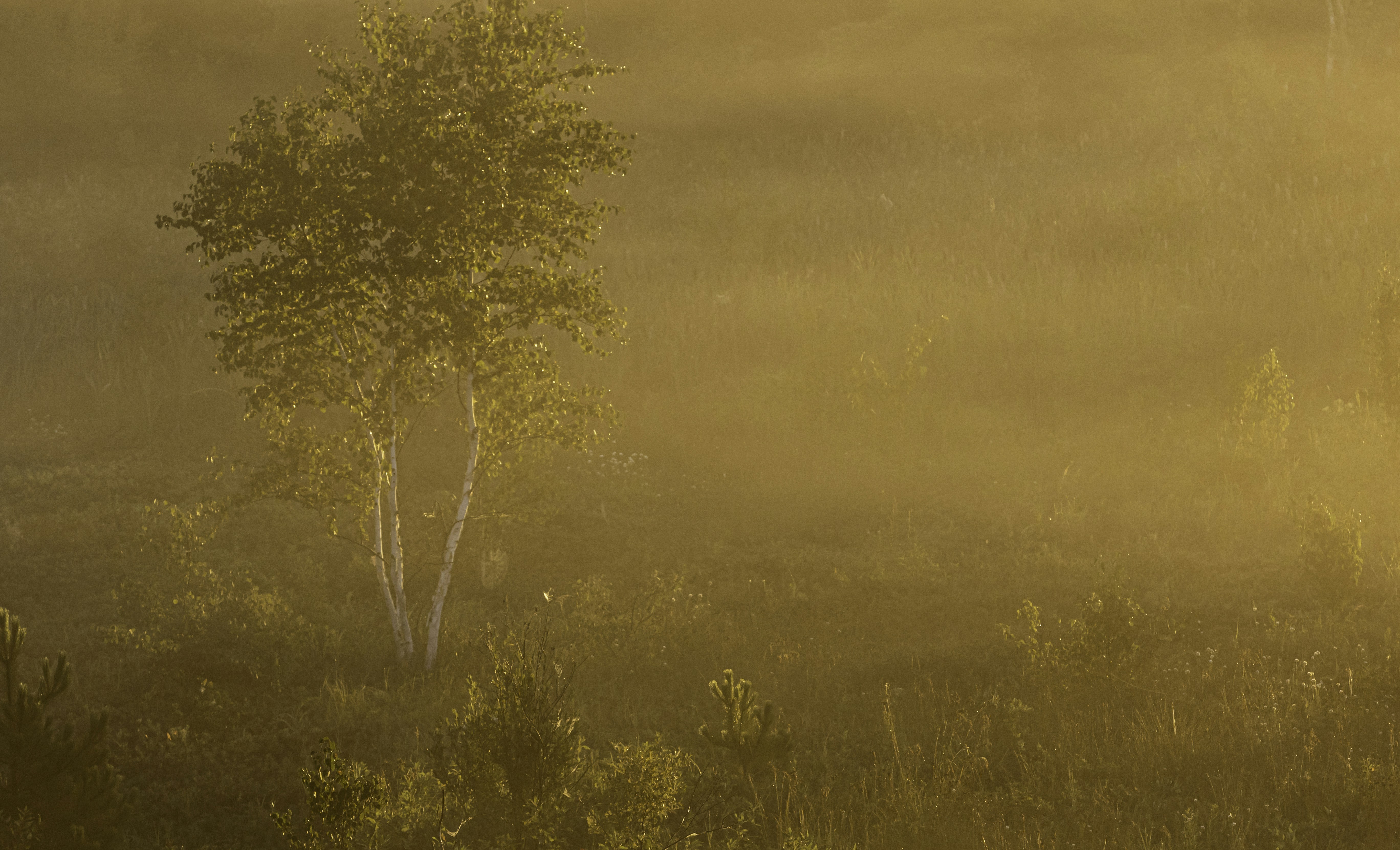 Photo by camerauthor