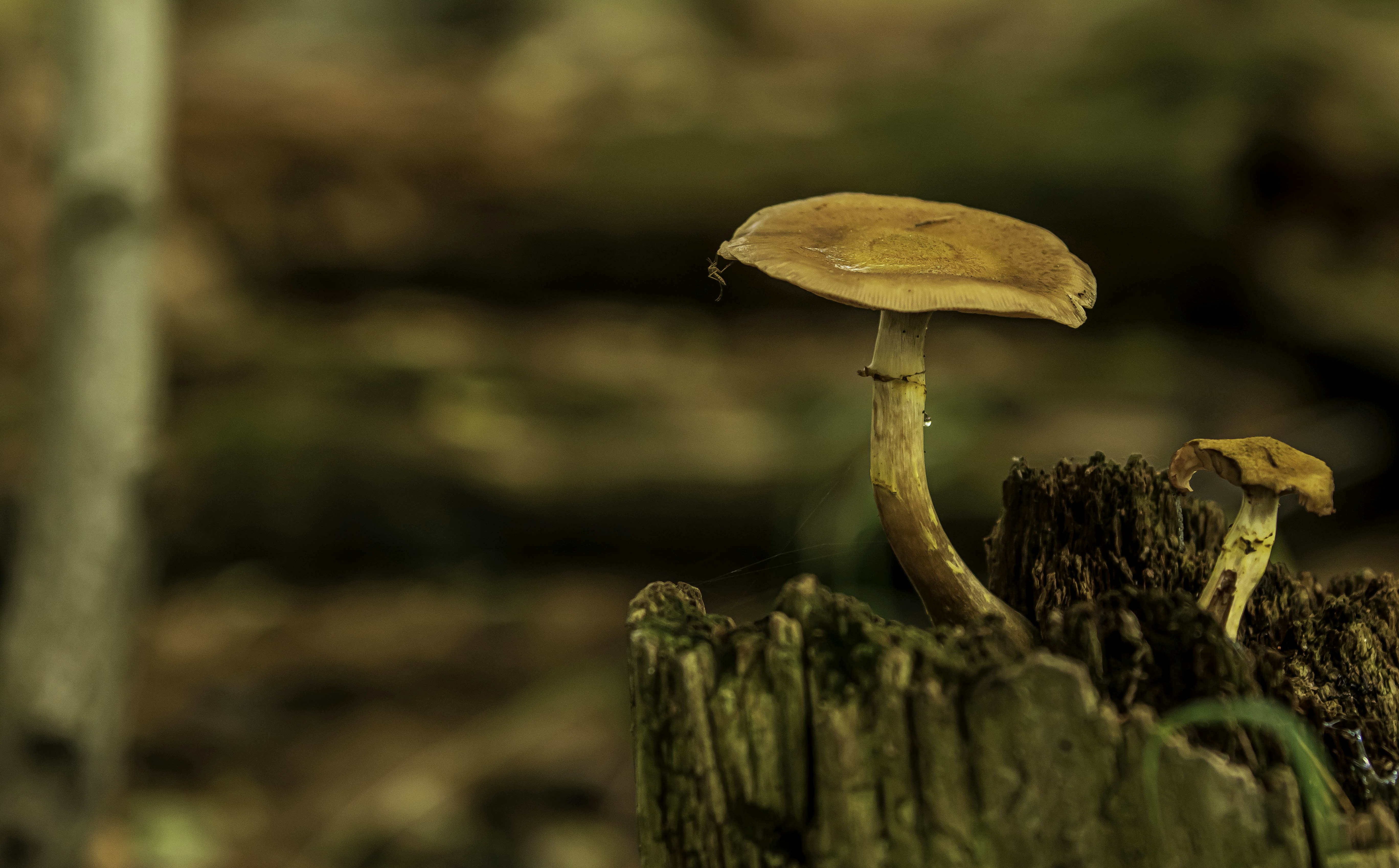 Photo by camerauthor