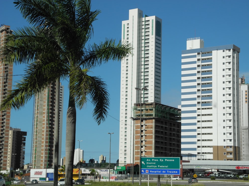 Edificios blancos de gran altura cerca de palmeras verdes durante el día