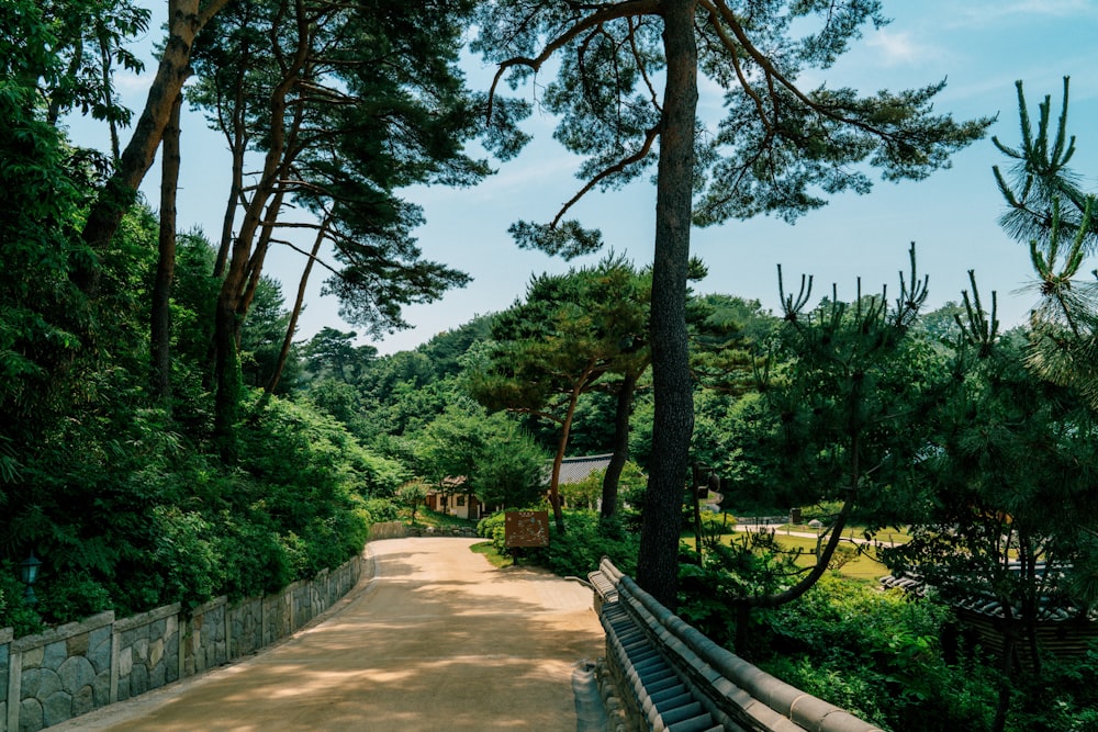 green trees near brown wooden bench during daytime