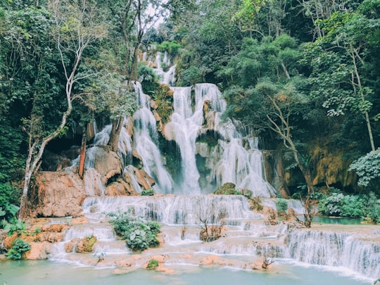 waterfalls in the middle of the forest during daytime in Luang Prabang Laos