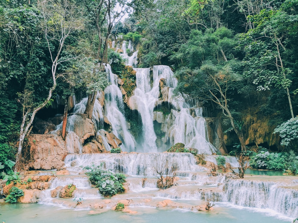 waterfalls in the middle of the forest during daytime