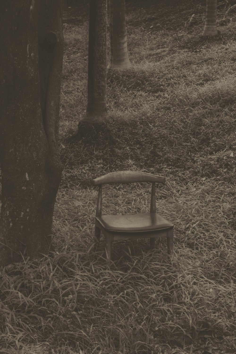 grayscale photo of chair near tree