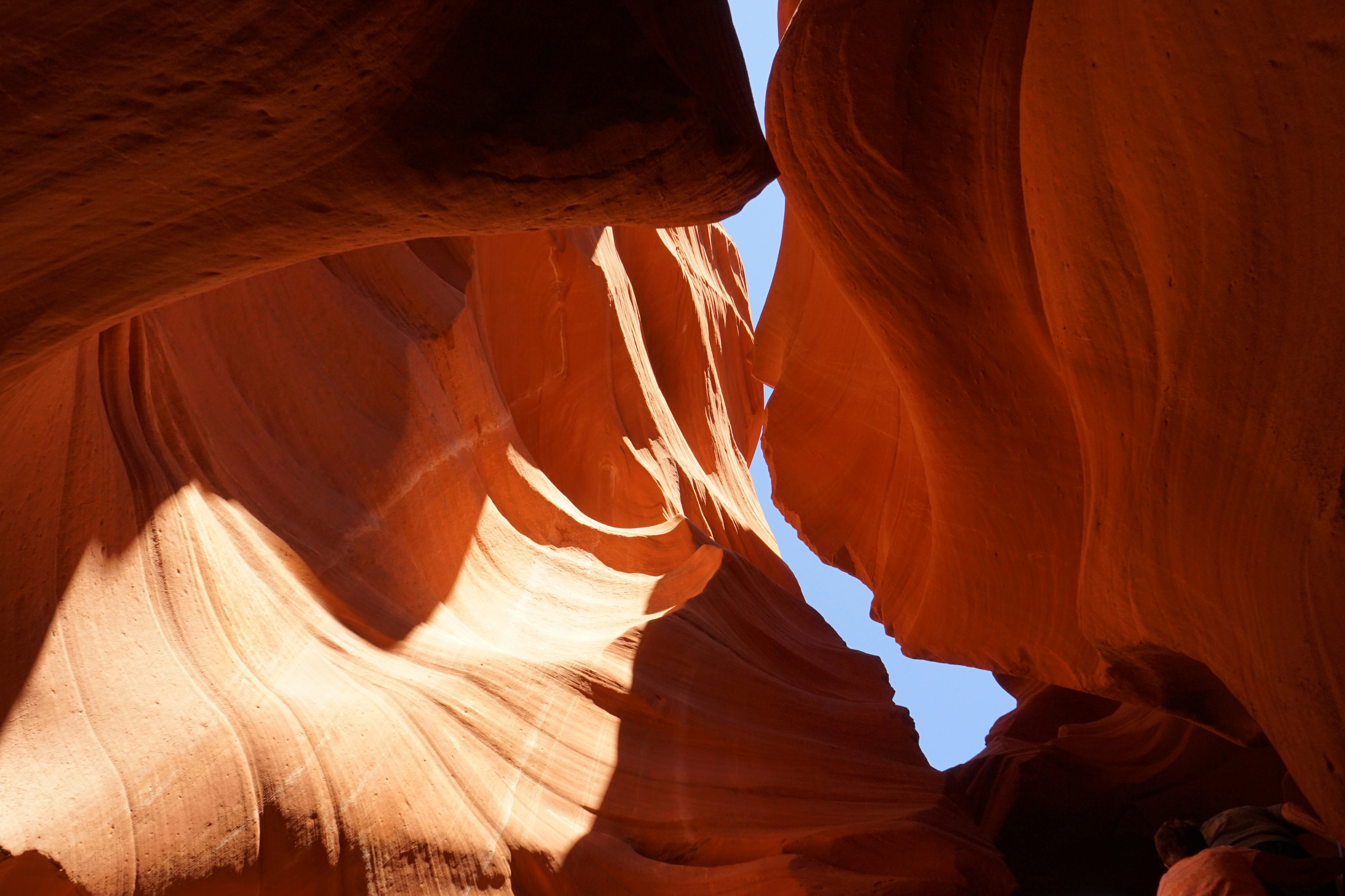 Photo by allegrosympatico