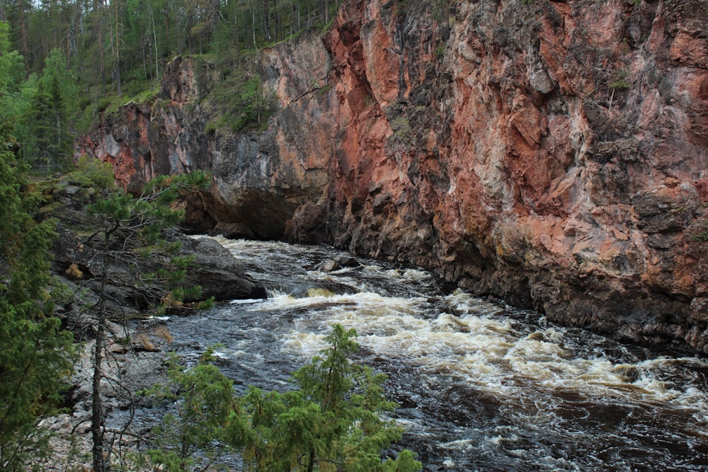 brown rocky mountain with green trees