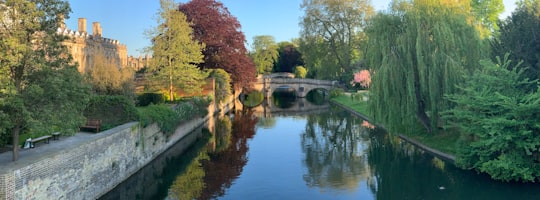 Trinity College things to do in River Cam