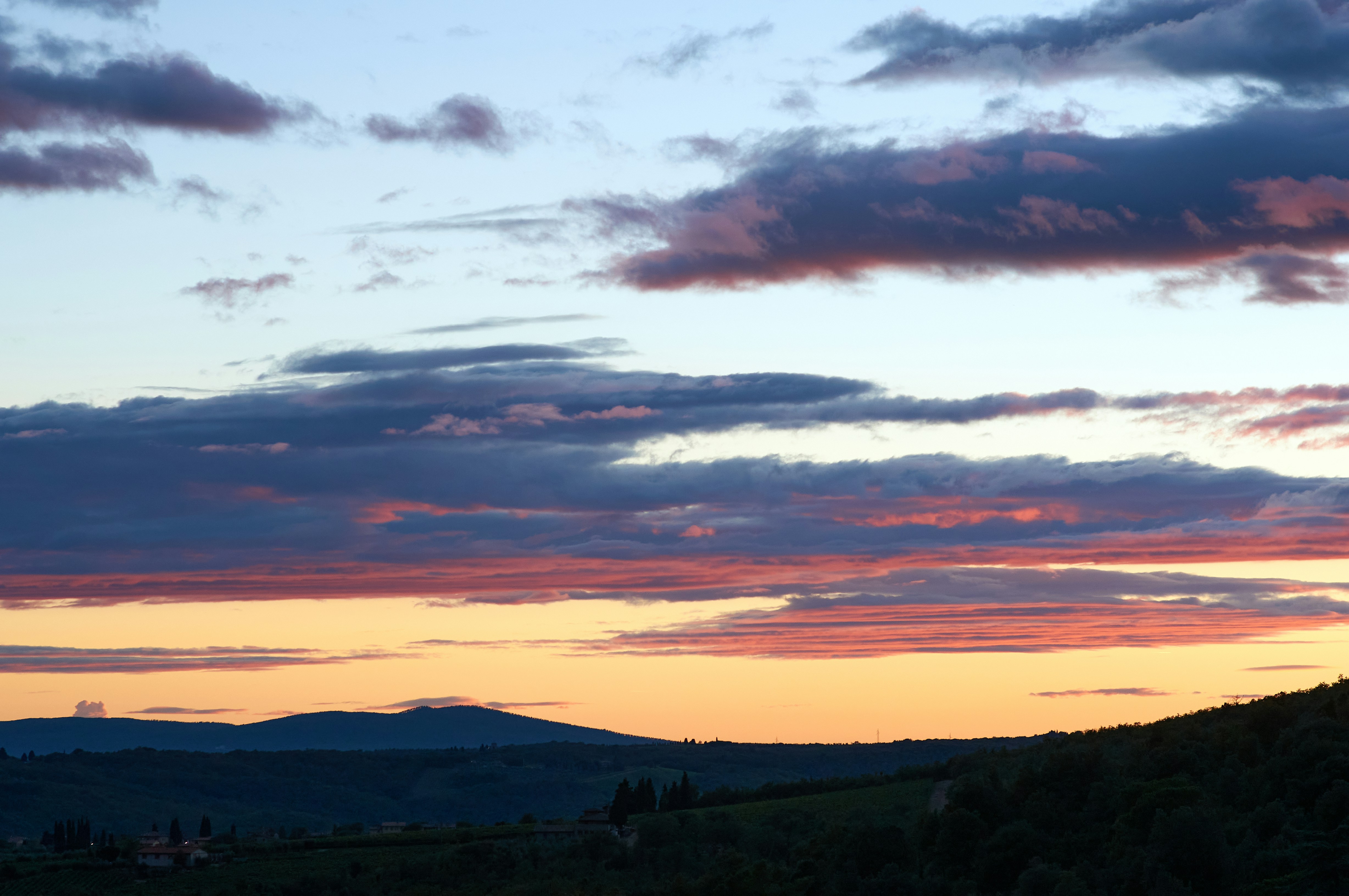 Photo by wolfgang_hasselmann