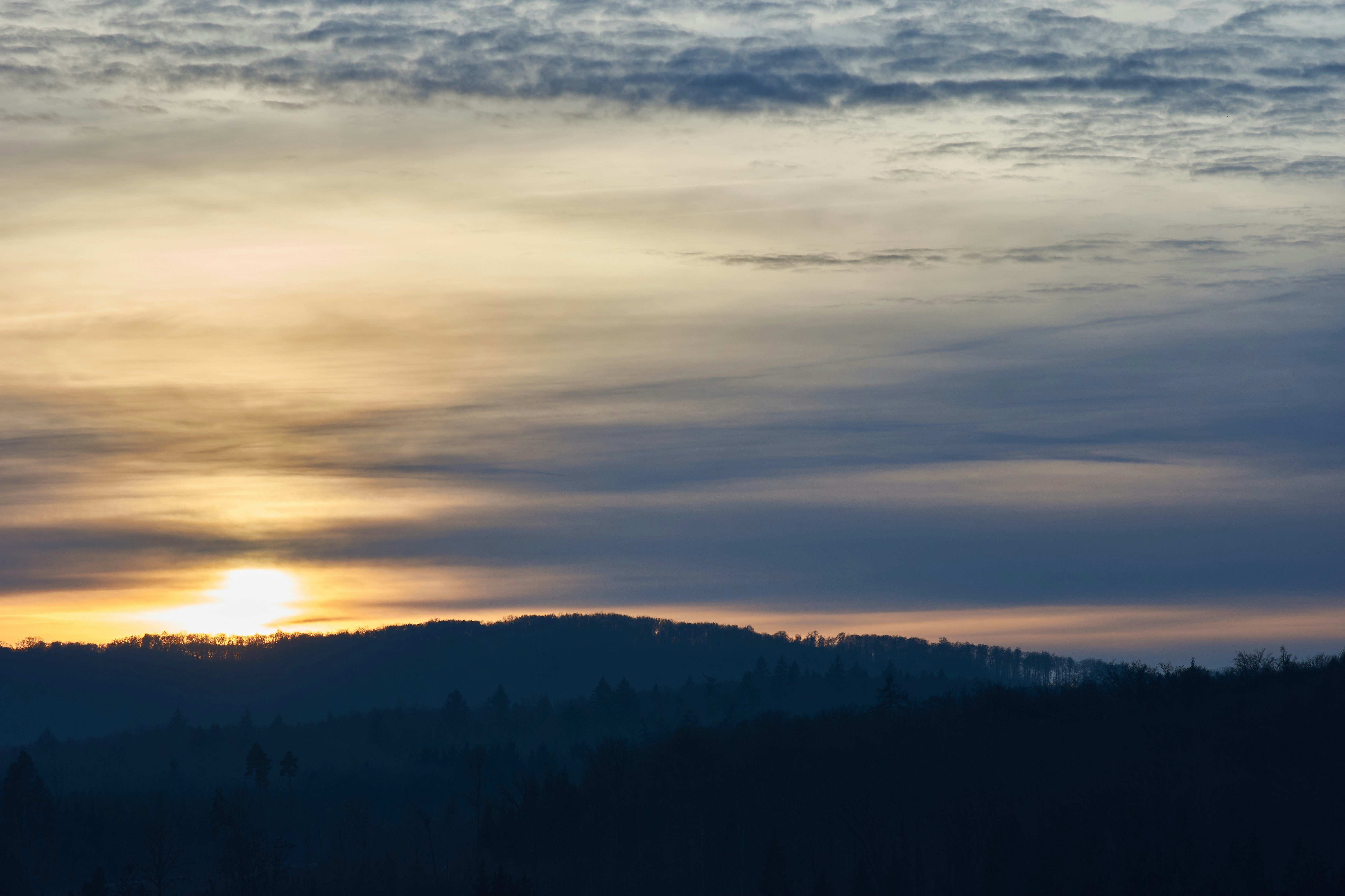 Photo by wolfgang_hasselmann