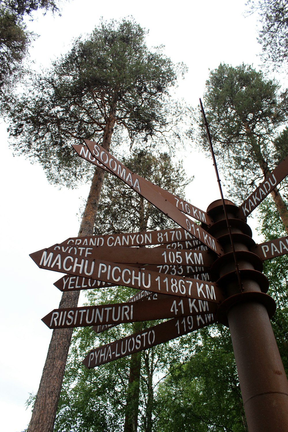 brown and black wooden street sign