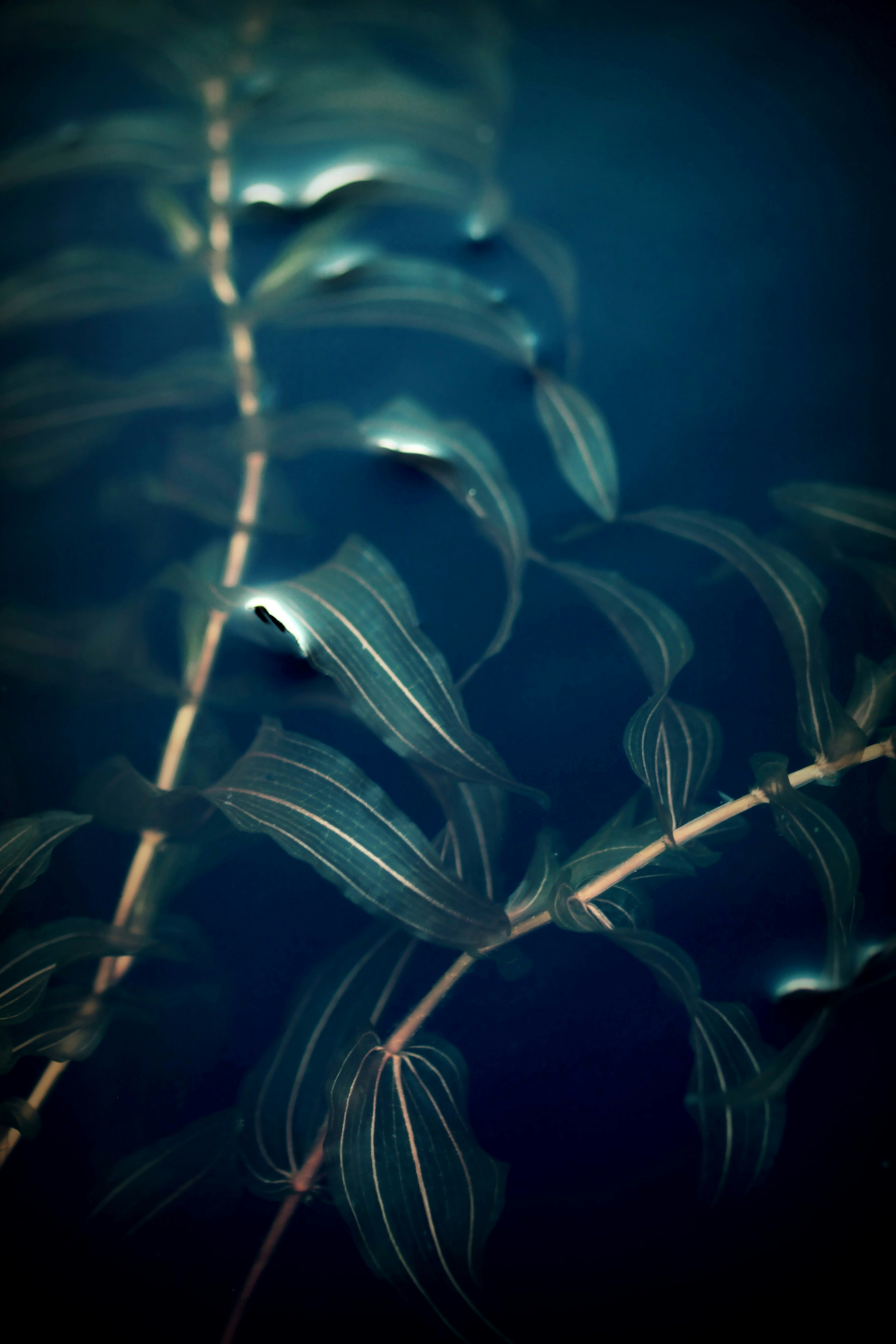 Photo by polarmermaid