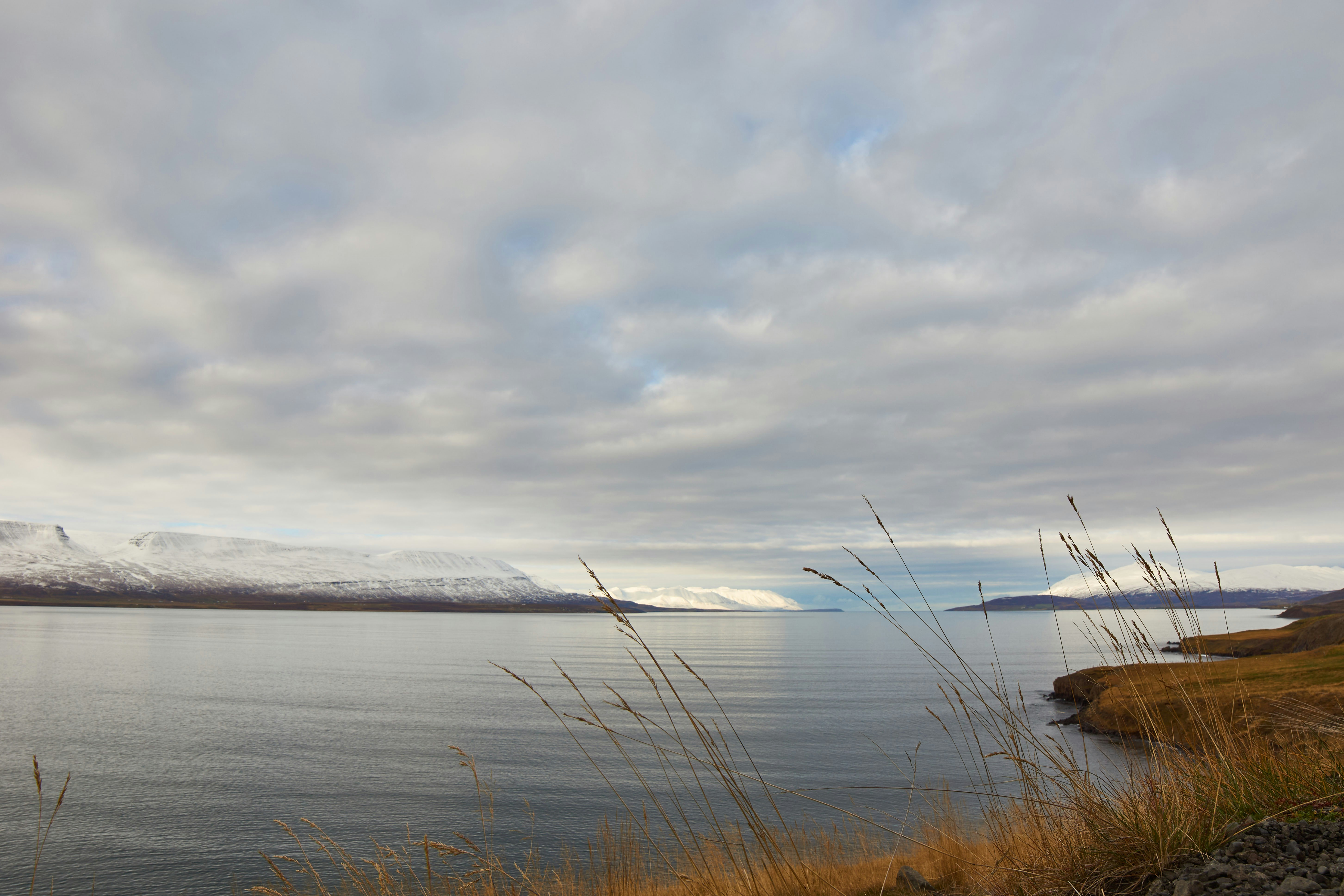 Photo by wolfgang_hasselmann