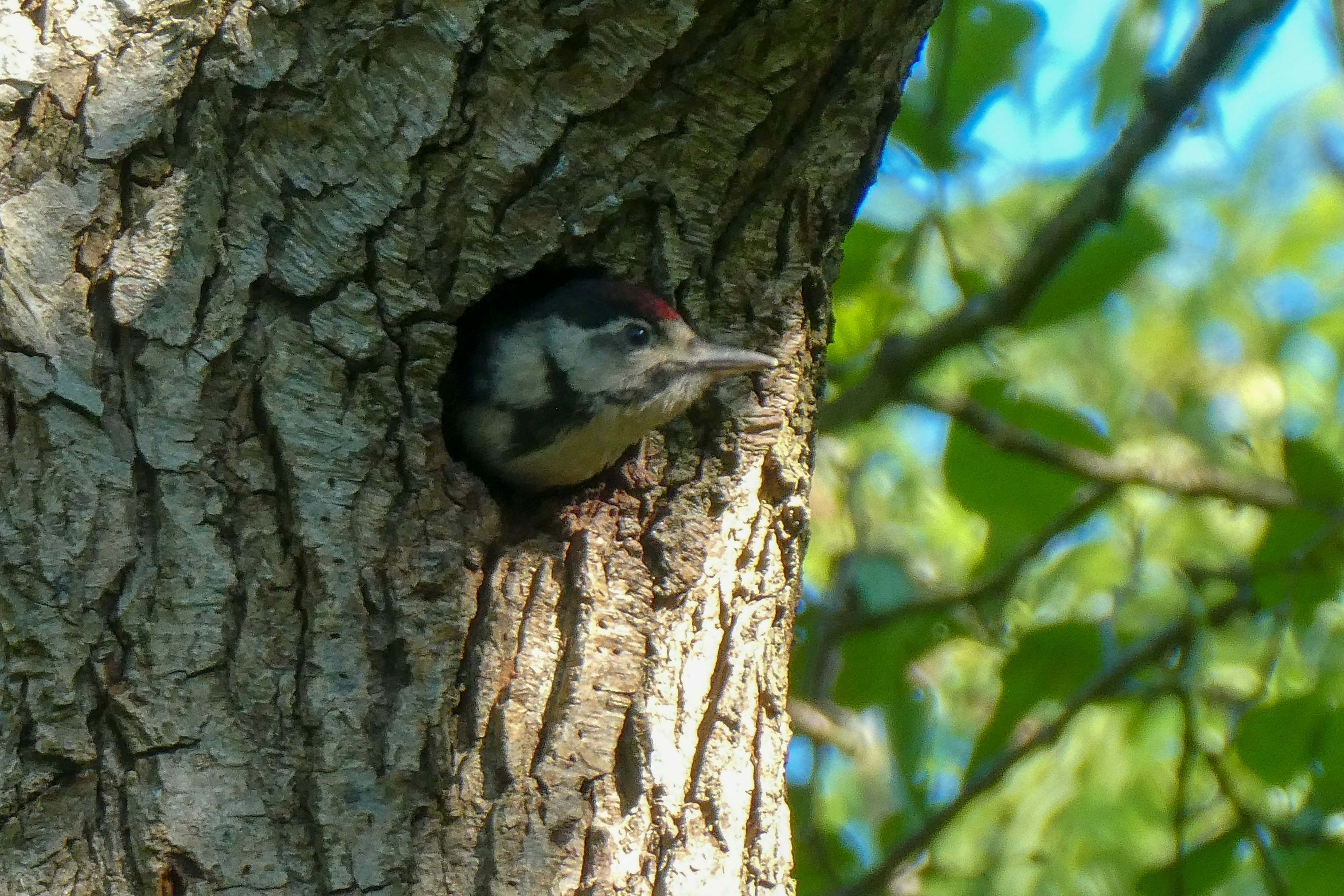 Photo by jannerboy62