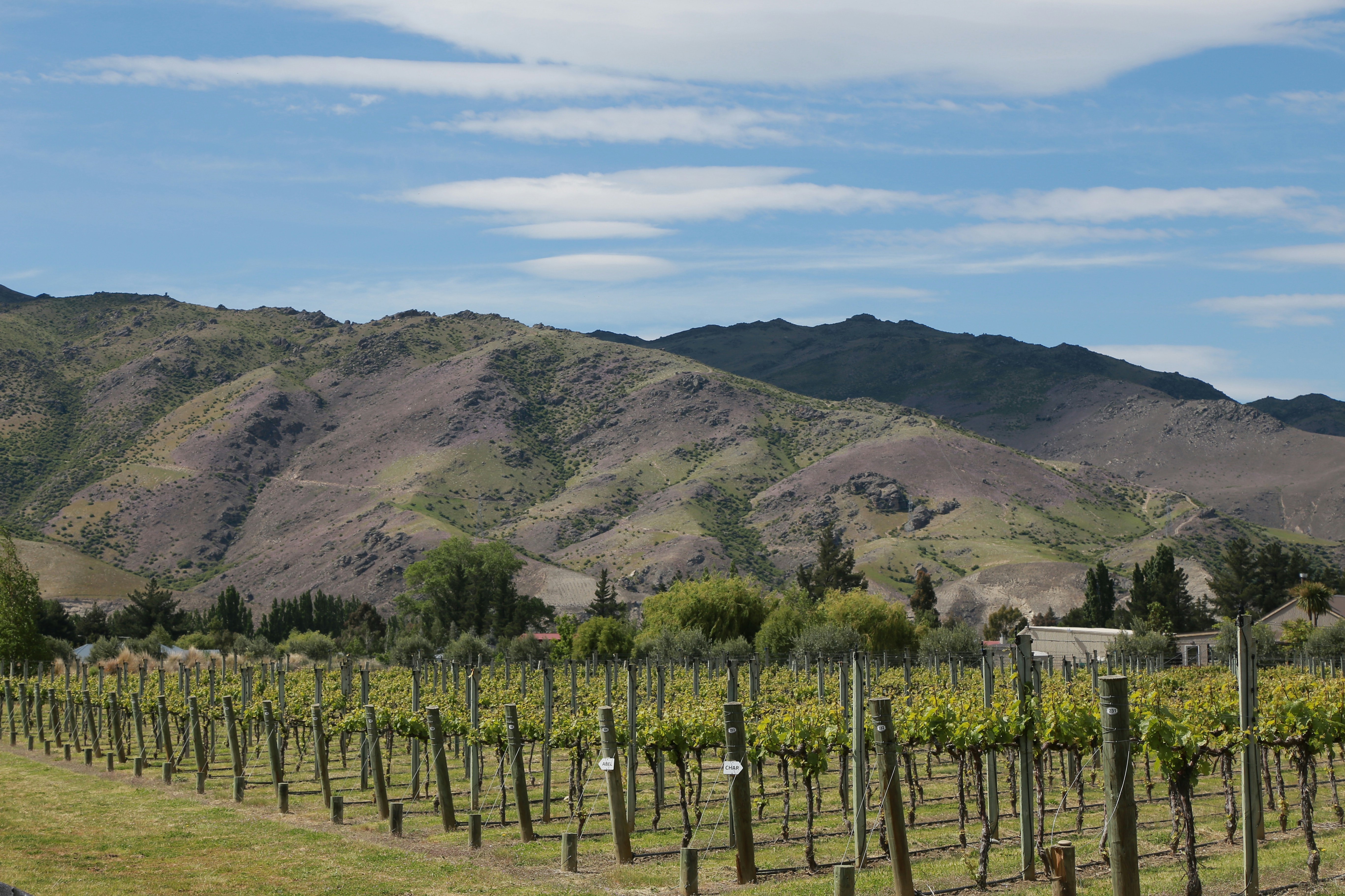 campo de hierba verde cerca de la montaña bajo el cielo azul durante el día