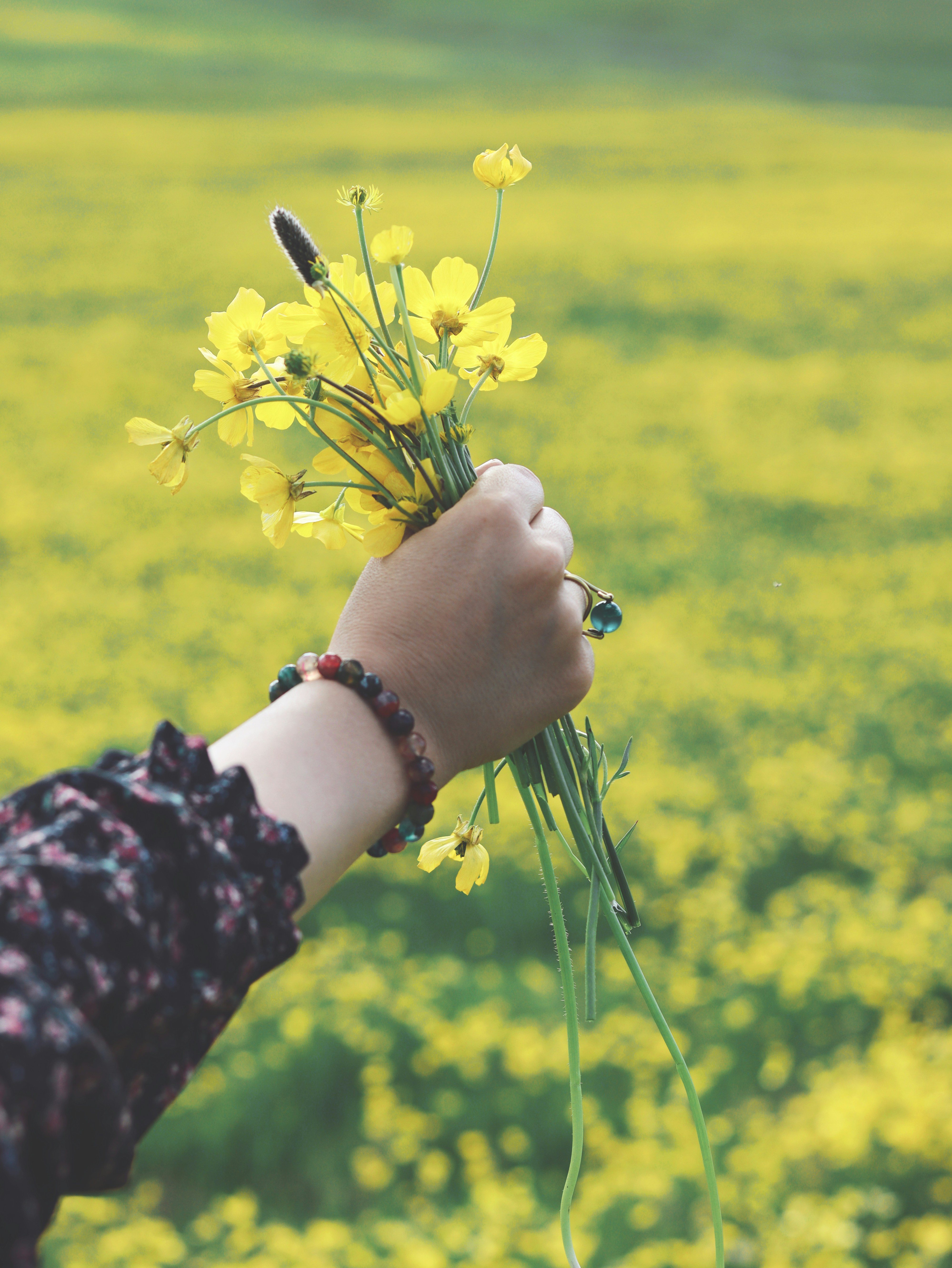 Photo by habibdadkhah