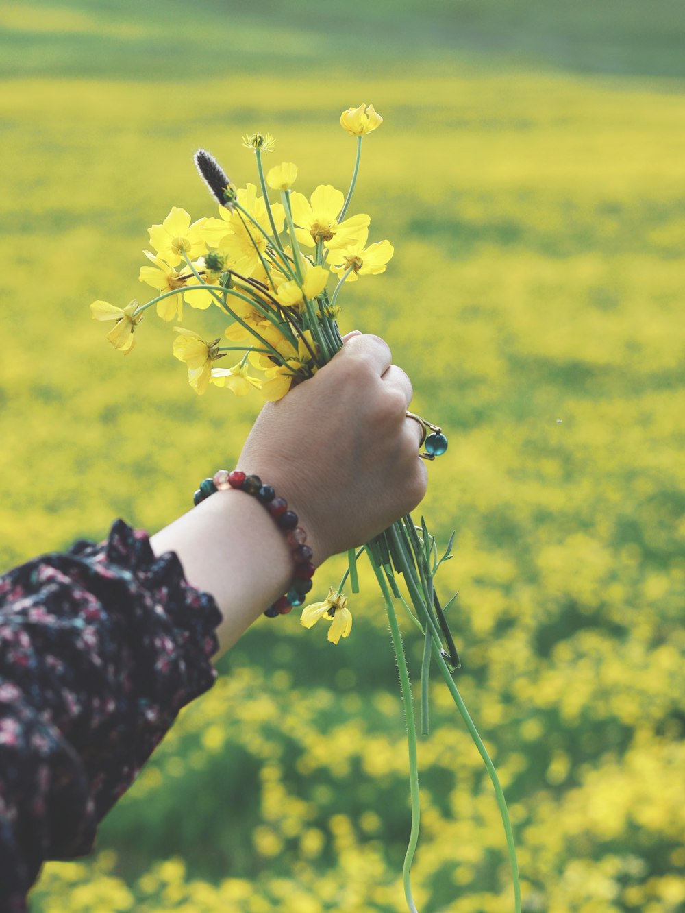 person holding yellow flower during daytime