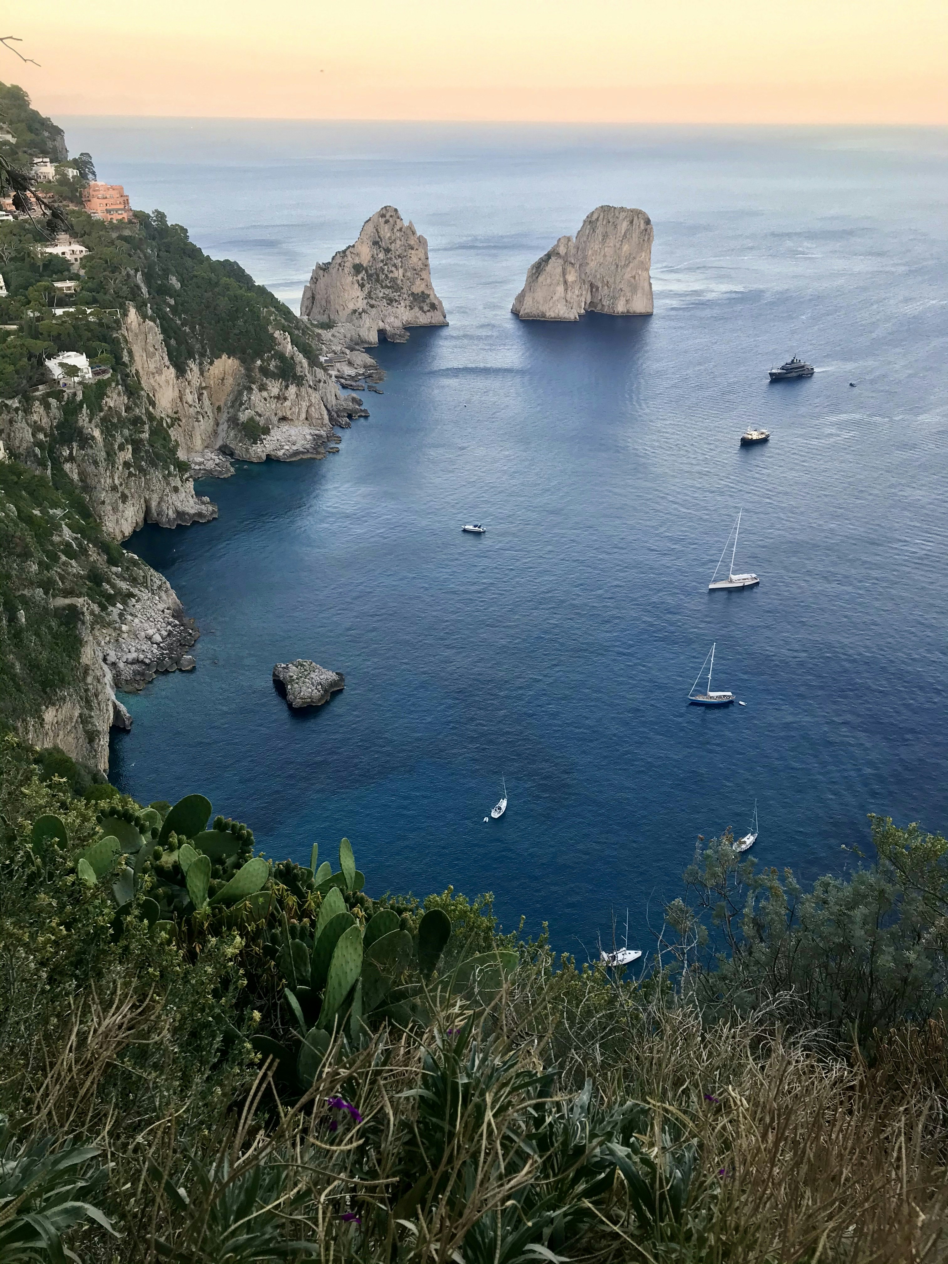 Photo by alicecheshire